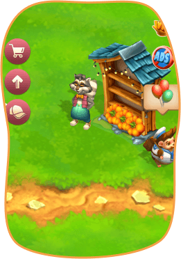 Raccoon market